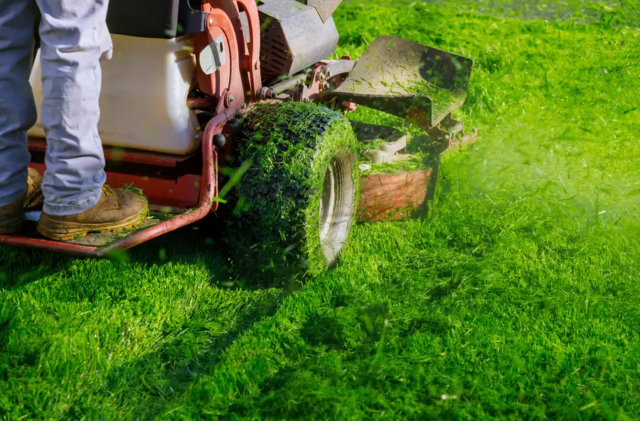 Affordable Mowing Des Plaines, IL