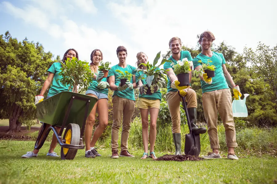 How Drainage Impacts Planting In Landscape Design Des Plaines, IL How Drainage Impacts Planting In Landscape Design Des Plaines, IL