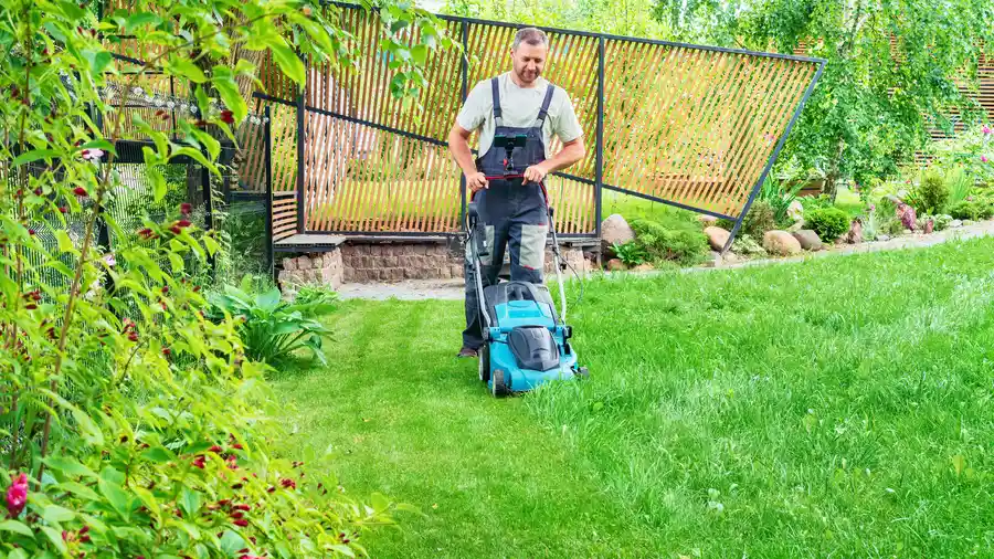Local Mowing Des Plaines, IL
