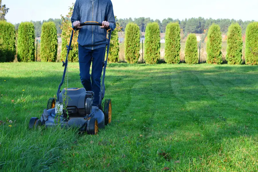 Signs It Is Time To Adjust Your Lawn Mowing Routine Des Plaines, IL