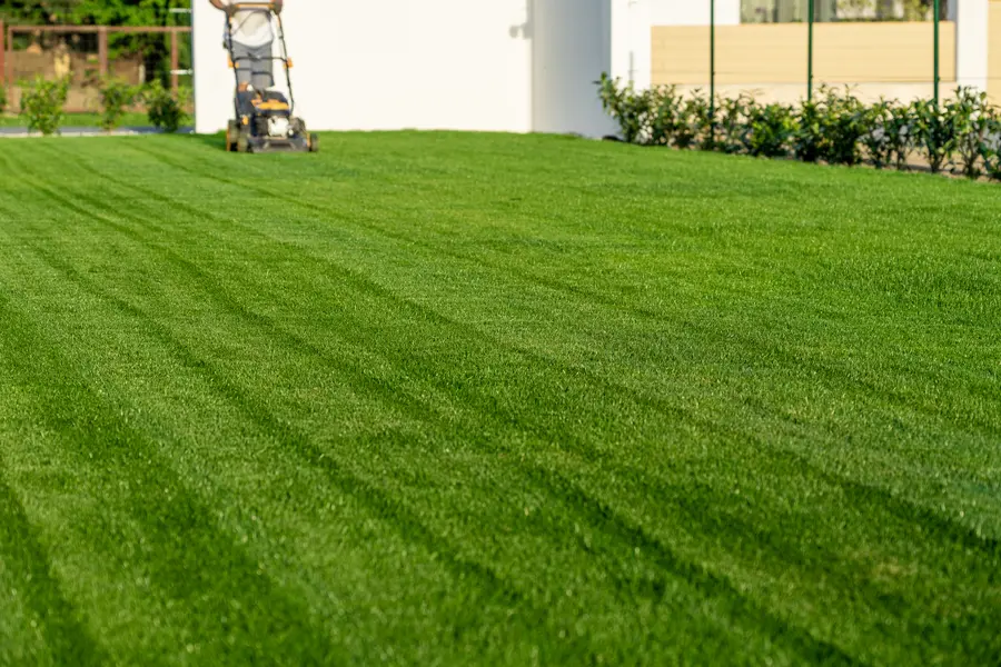 Signs It Is Time To Adjust Your Lawn Mowing Routine in Des Plaines, IL